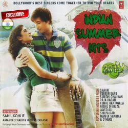 Indian summer hits (2011)