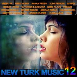 New turk music -12 (2011)