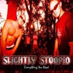 Slightly Stoopid - Everything You Need (2003)